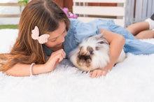 Load image into Gallery viewer, Butterfly Faux Leather Clip - Blush