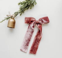 Load image into Gallery viewer, Coco Velvet - Mauve