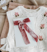 Load image into Gallery viewer, Coco Velvet - Mauve