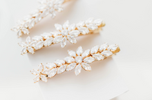 Load image into Gallery viewer, Floran Clip