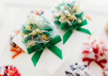 Load image into Gallery viewer, Game Day Sparkle Poms CLIP SET - Packer Princess Pom