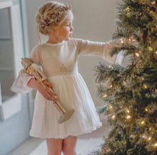 Load image into Gallery viewer, Enchanted Silvery Crown