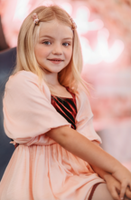 Load image into Gallery viewer, Heart Velvet Pink Blush - Large Clip SET