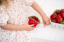 Load image into Gallery viewer, Coin Bag - strawberry
