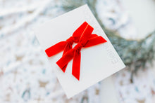 Load image into Gallery viewer, Tally Pigtails - RED
