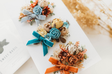 Load image into Gallery viewer, Wren Fall Hair Clip SET
